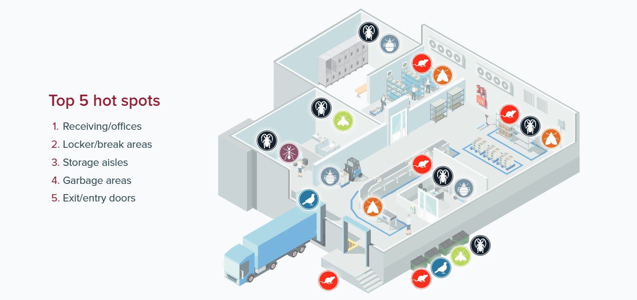 infographic showing common places for pests in a commercial building